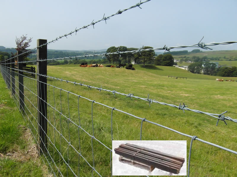 Cattle Farm and Horse Farm Field Fencing