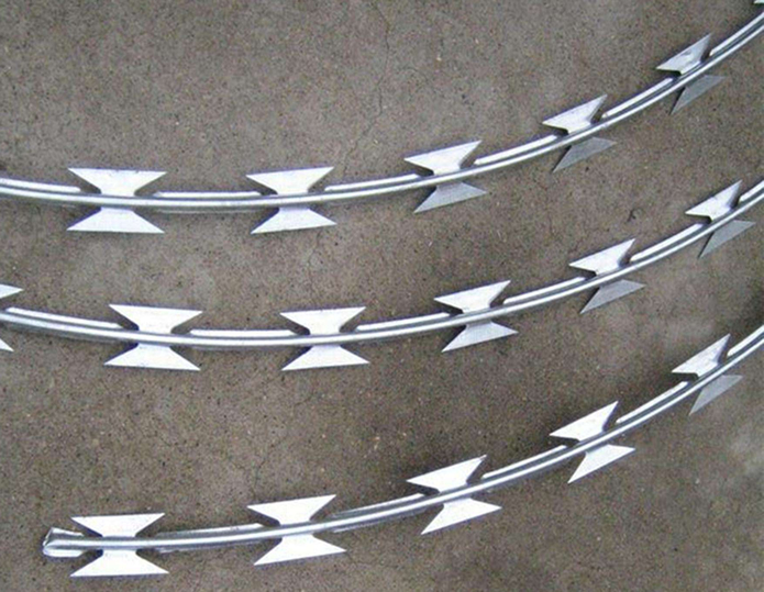 Concertina Wire Loops for Jordan