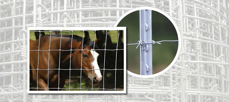Horse Fencing and Cattle Fencing